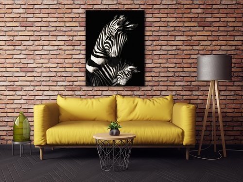 Bild Zebras black and white - 70 x 90 cm