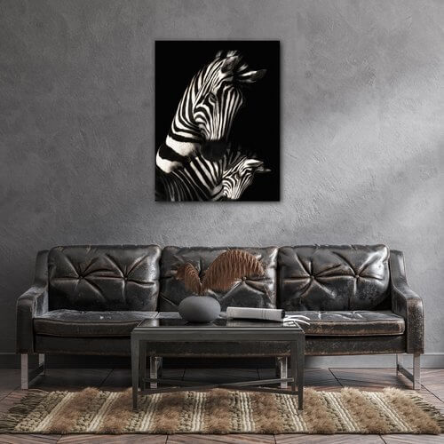 Bild Zebras black and white - 70 x 90 cm
