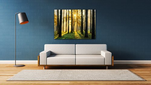 Bild Trees and sunshine - 70 x 50 cm