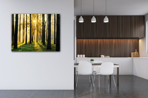Bild Trees and sunshine - 90 x 70 cm