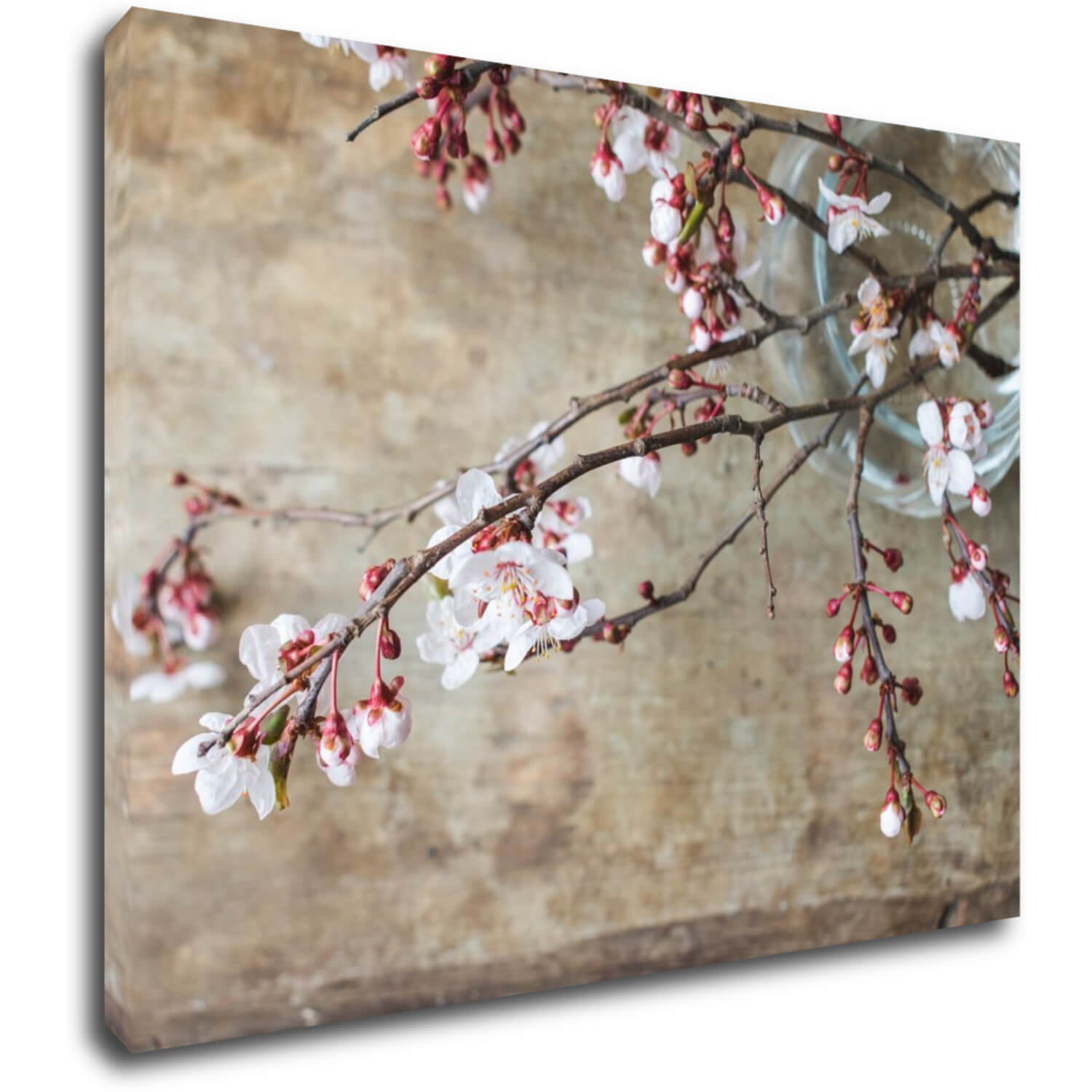 Bild Pink blossom - 40 x 30 cm