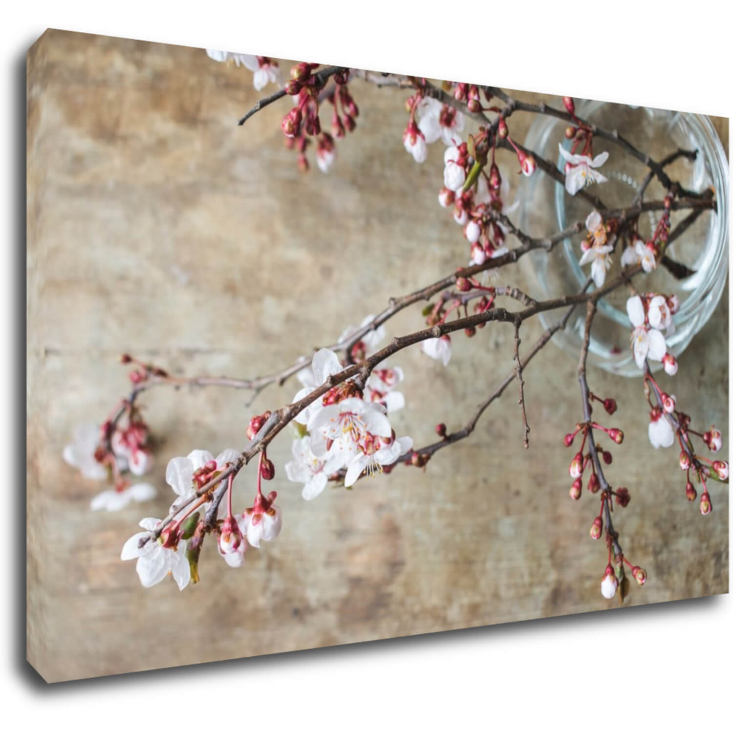 Bild Pink blossom - 50 x 30 cm