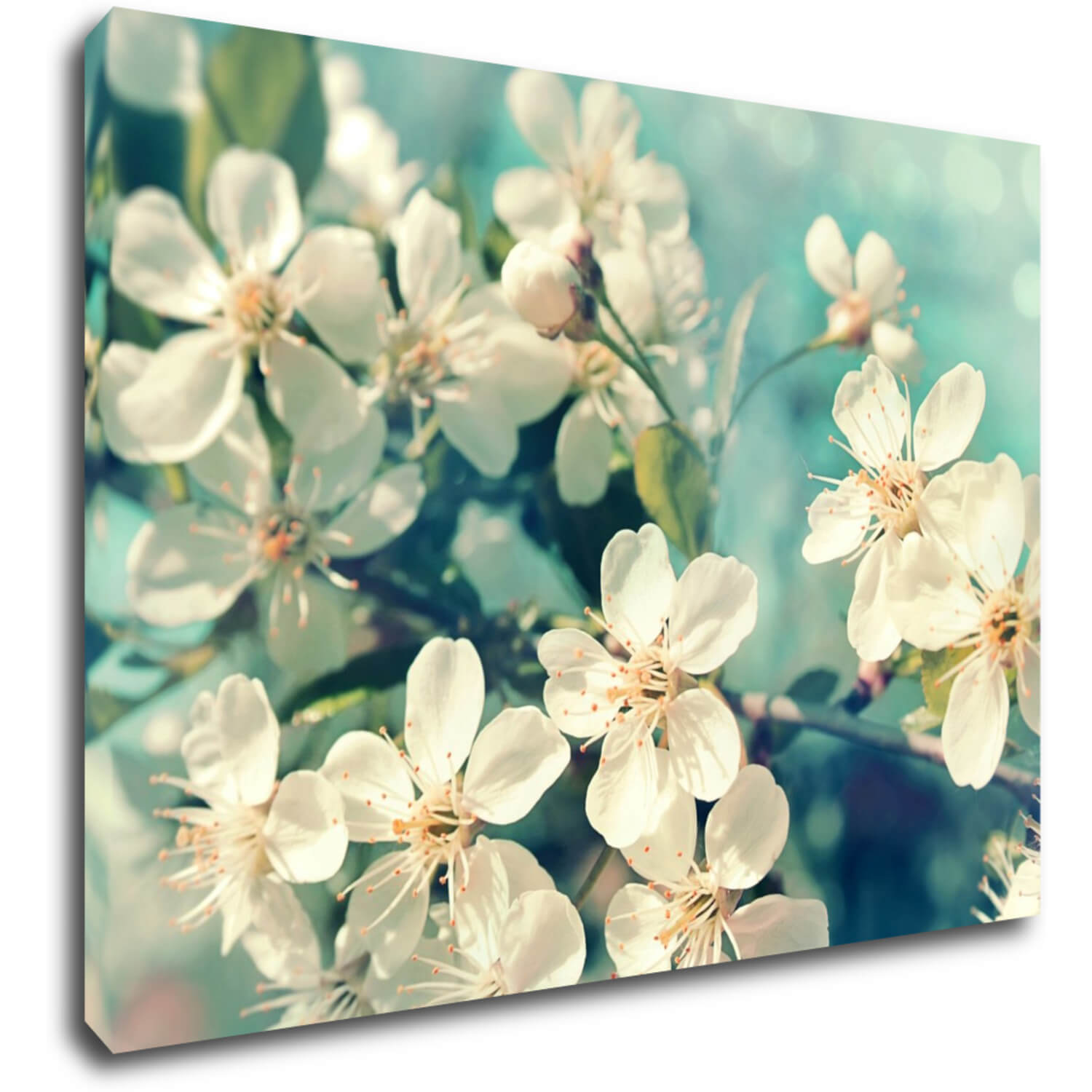 Bild Blue background cherry blossom - 70 x 50 cm