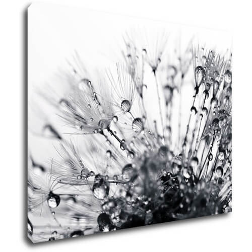 Bild Flower with little drops of water - 90 x 70 cm