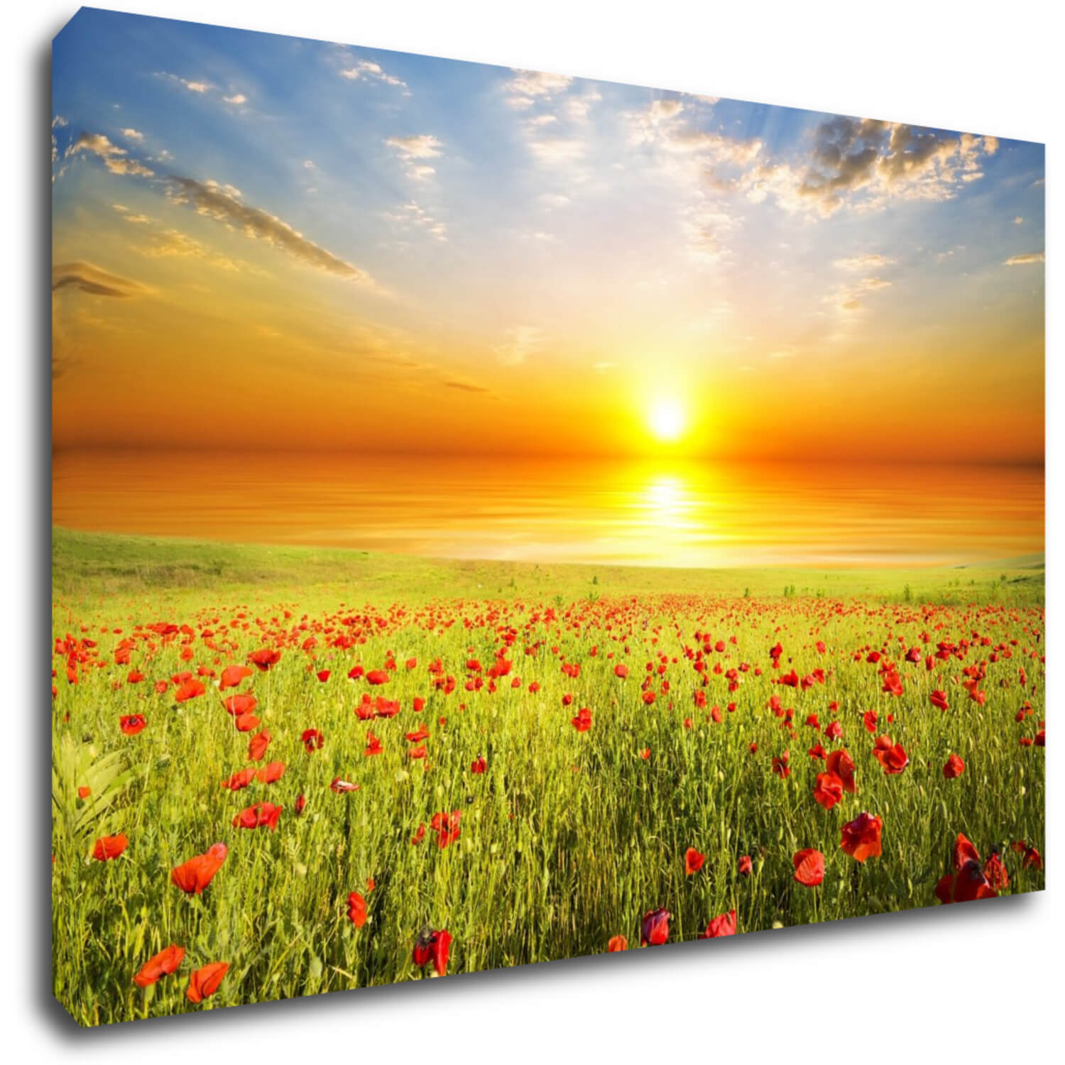 Bild Poppies field - 90 x 60 cm