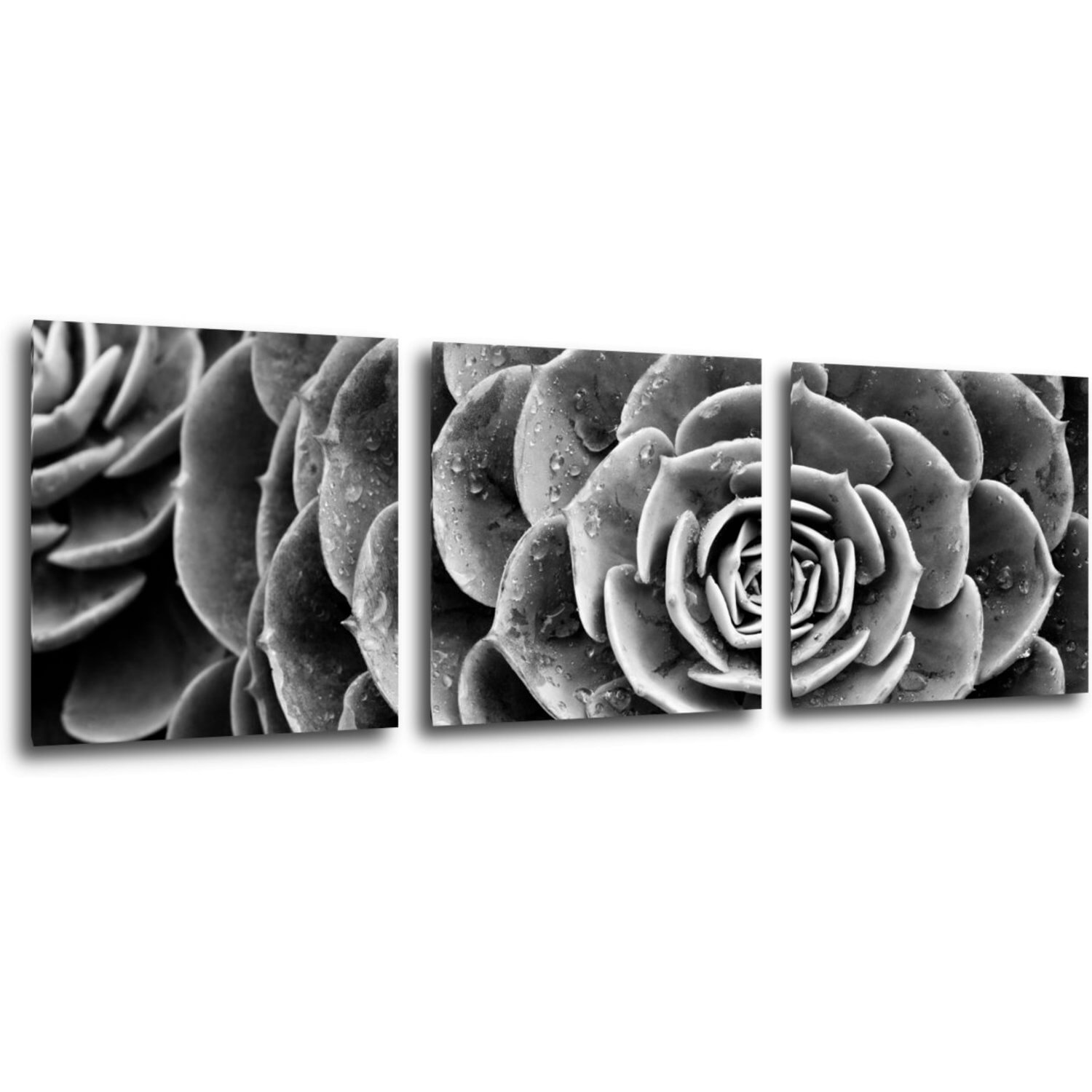 Bild Black and white blossom - 90 x 30 cm (3-teiliges)