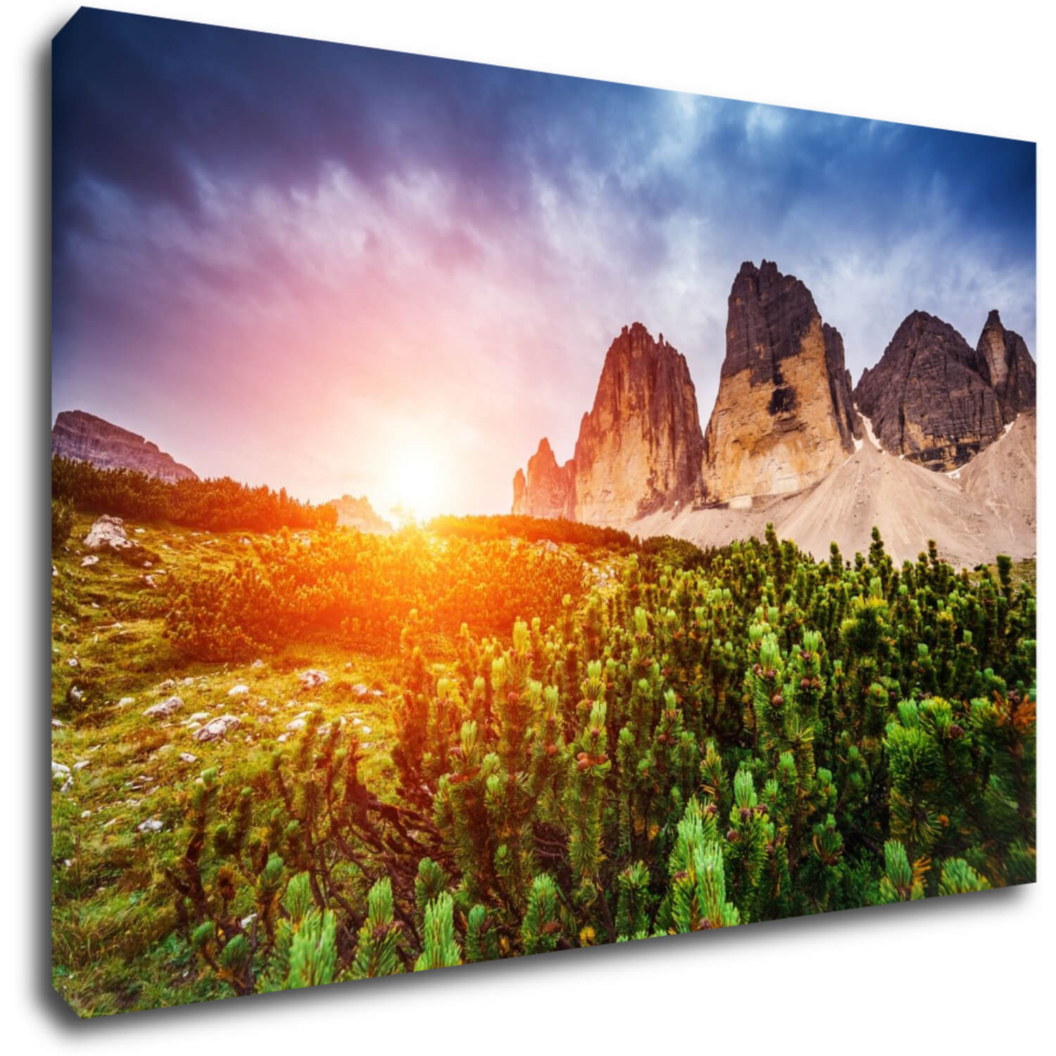 Bild Mountain and forest - 60 x 40 cm