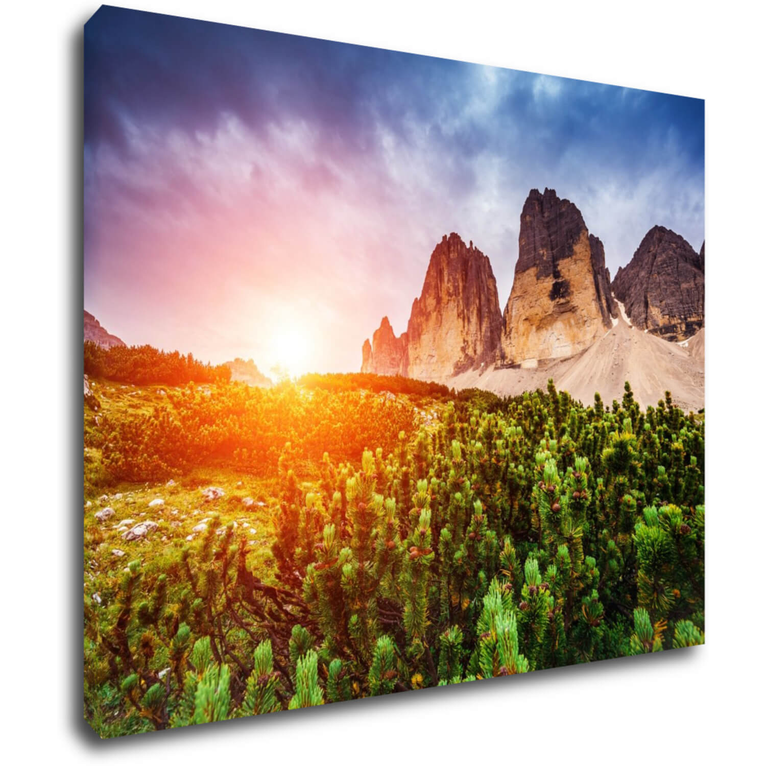 Bild Mountain and forest - 90 x 70 cm