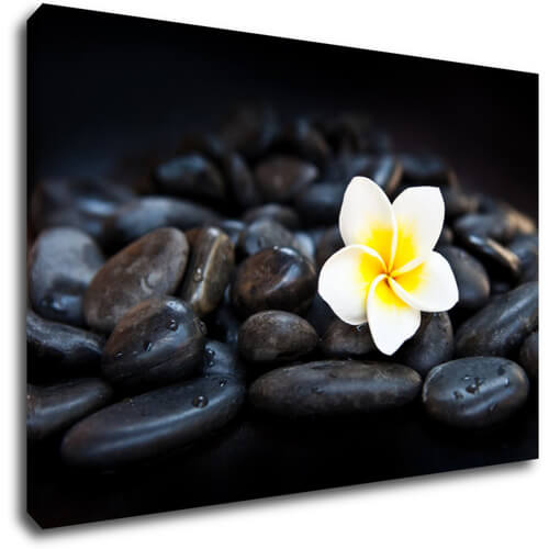 Bild White blossom on black stones - 90 x 60 cm