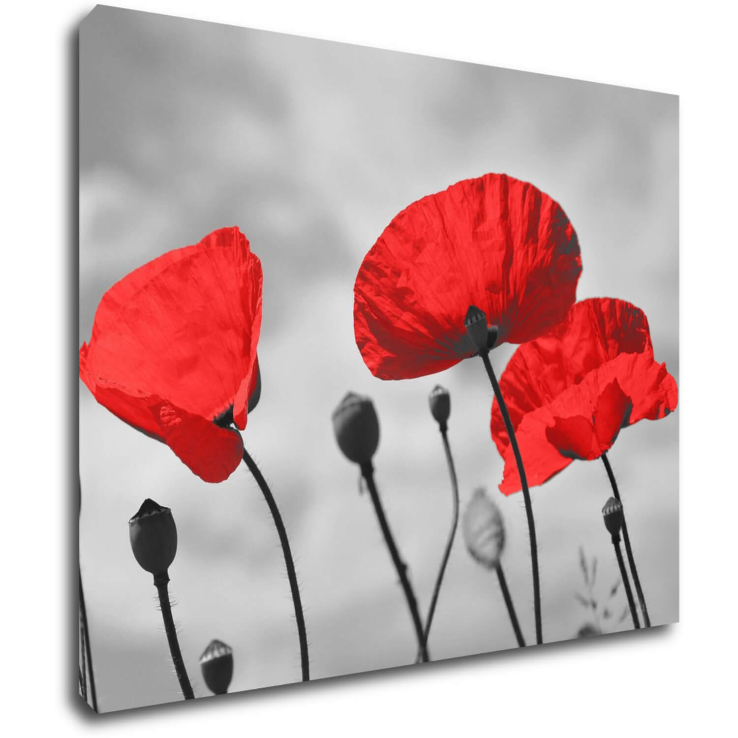 Bild Poppy - 90 x 70 cm
