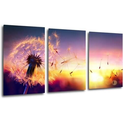 Bild Dandelion and sunset - 120 x 60 cm (3-teiliges)