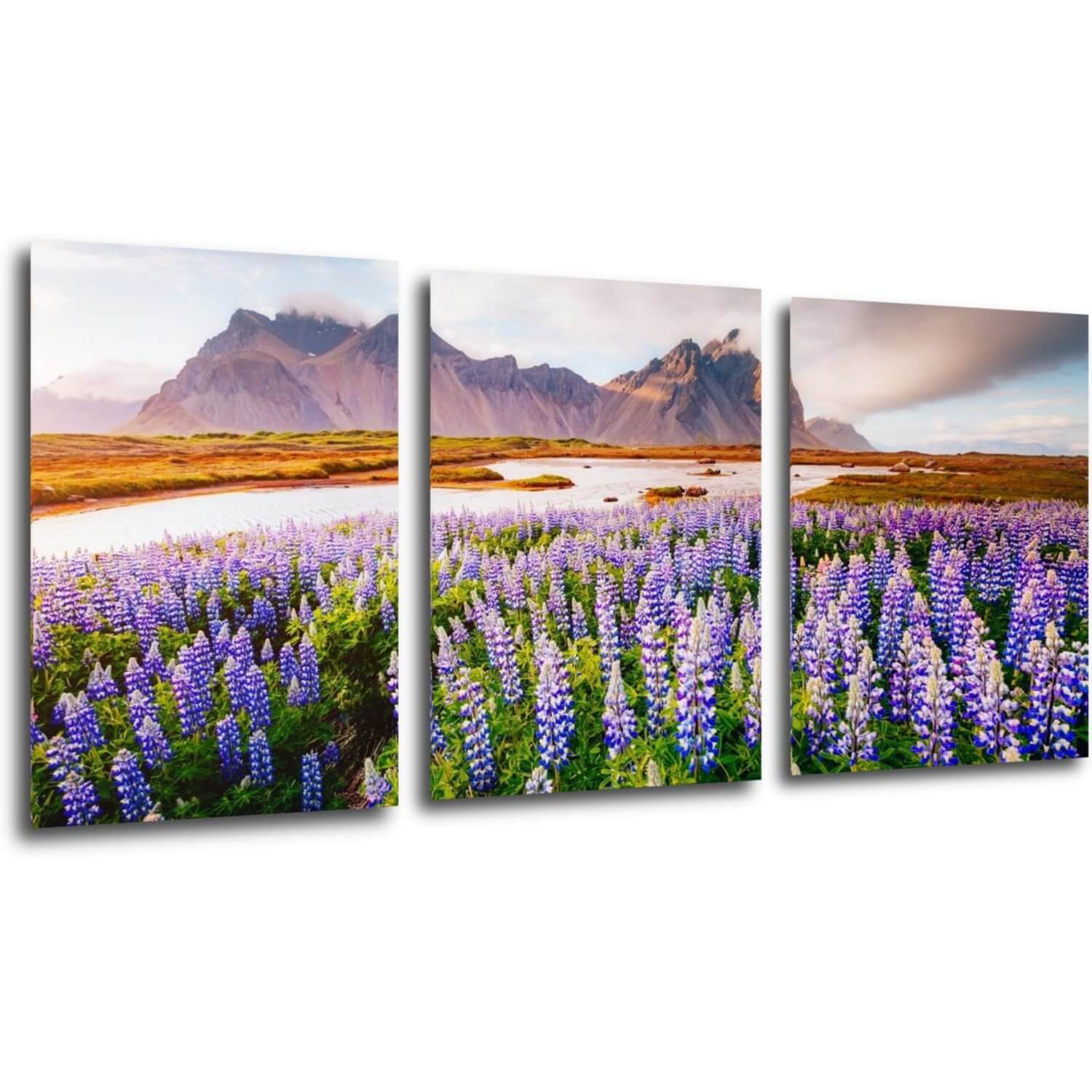 Bild Lila blossoming flowers - 150 x 70 cm (3-teiliges)