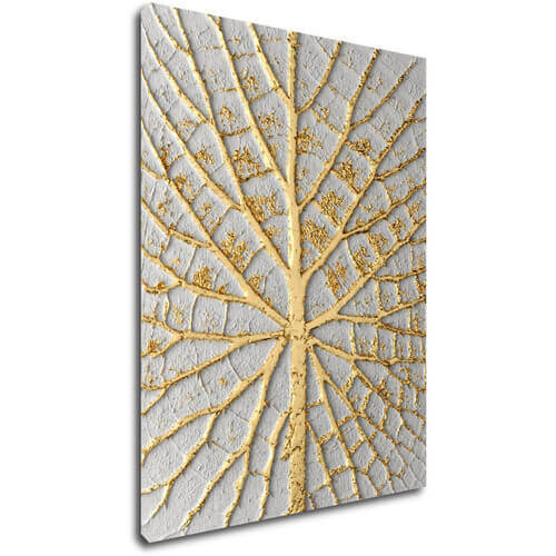 Bild Leaf structure