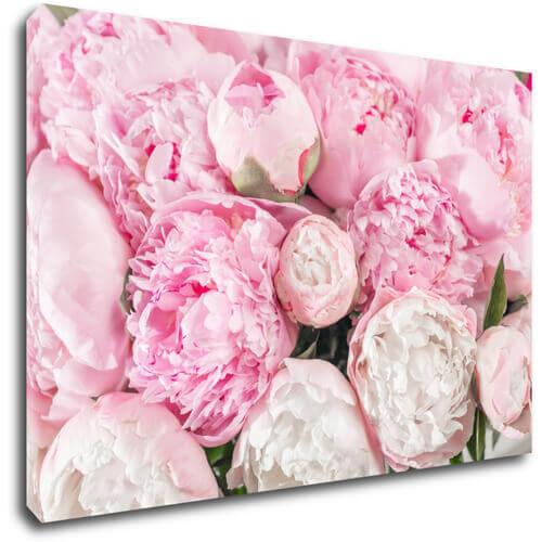 Bild Pinky flowers