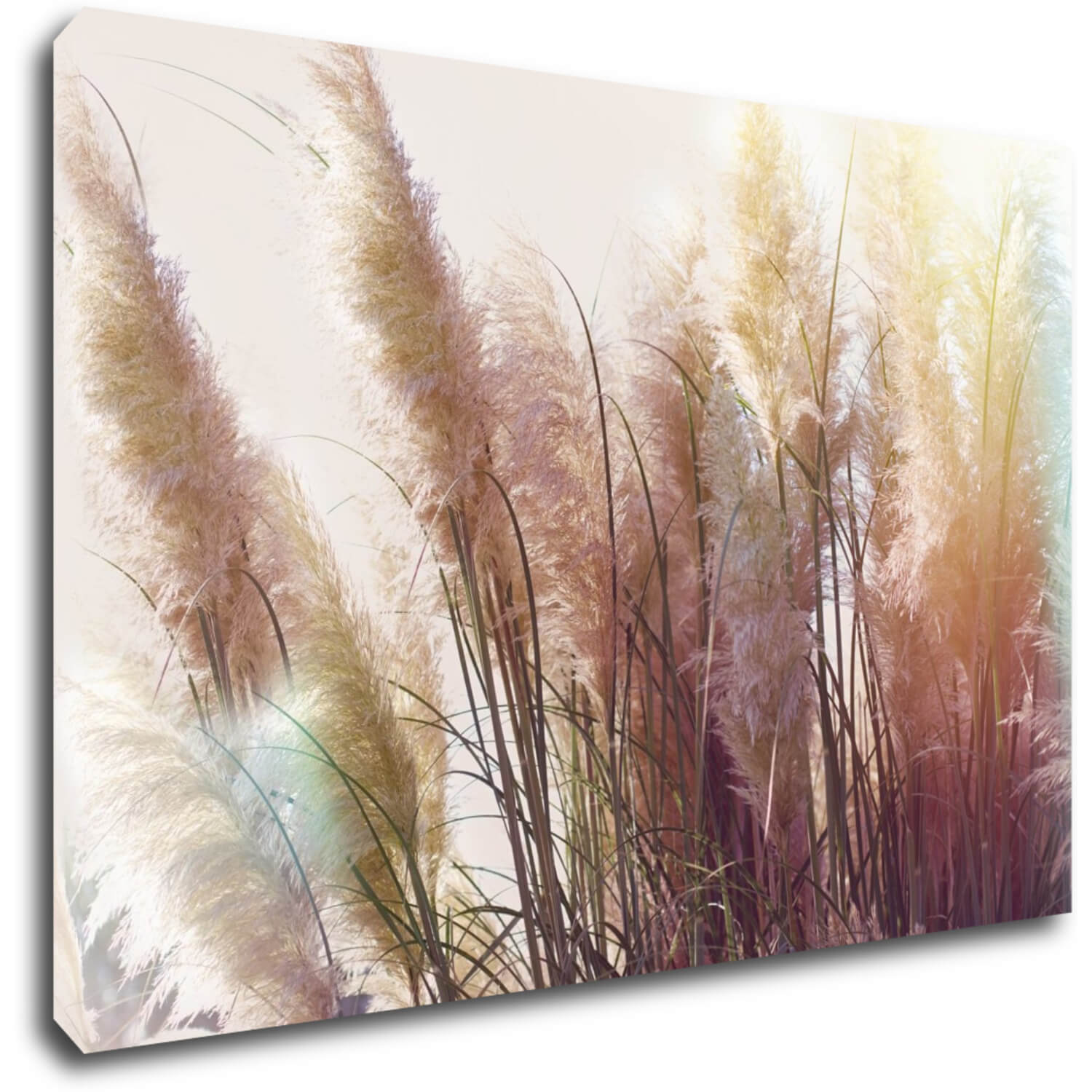 Bild Grass - 60 x 40 cm