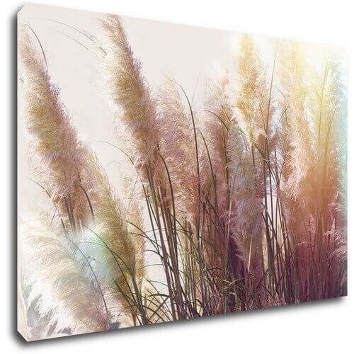 Bild Grass