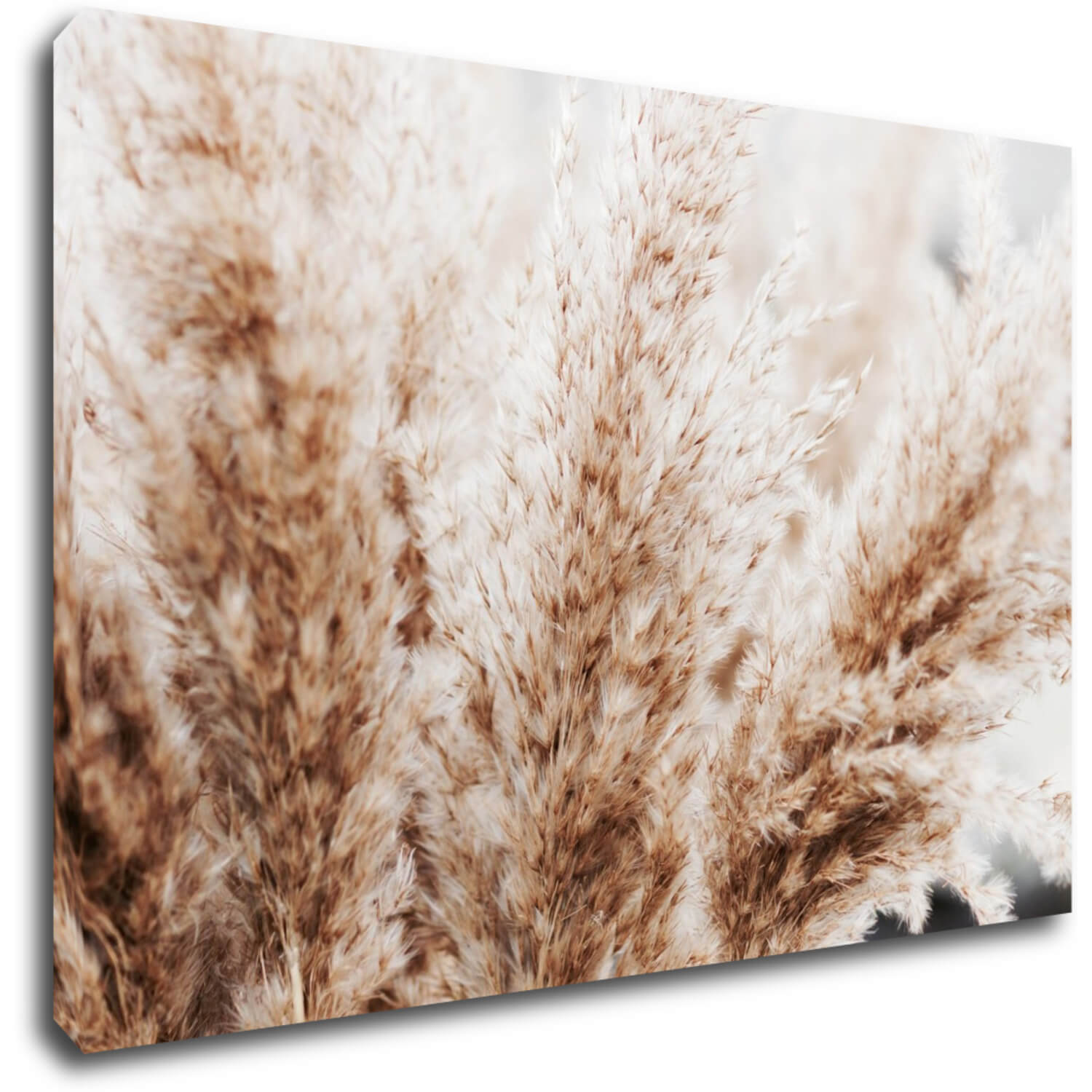 Bild Dry flowers detail - 90 x 60 cm