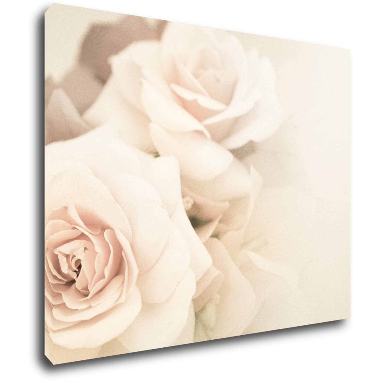 Bild White roses - 90 x 70 cm