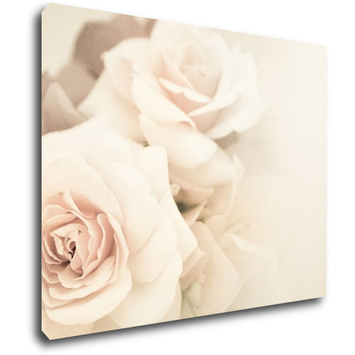 Bild White roses - 90 x 70 cm