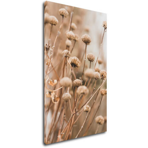 Bild Scandinavian style dry grass