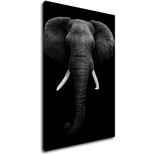 Bild Elephant dark - 60 x 90 cm