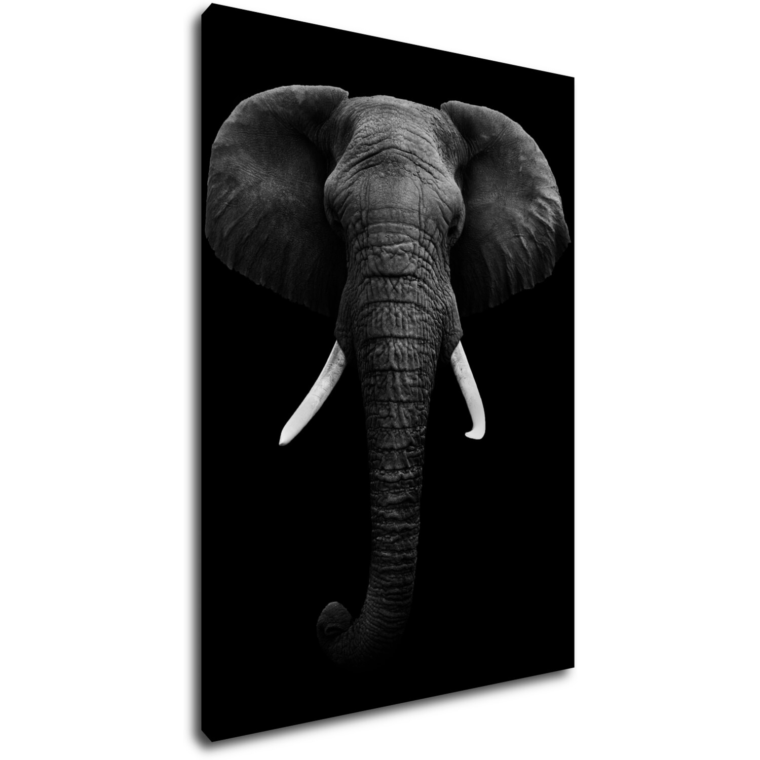 Bild Elephant dark - 50 x 70 cm