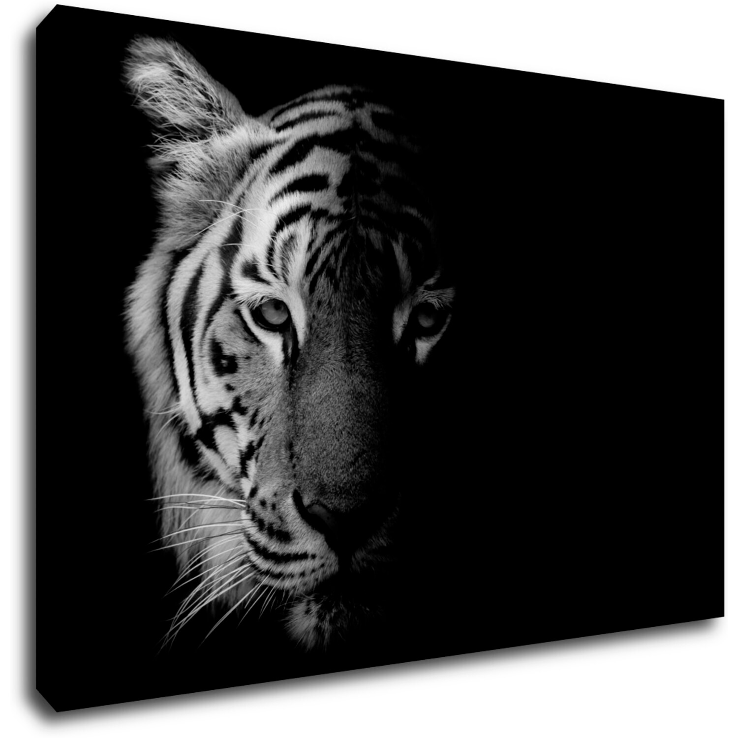 Bild Tiger black and white - 90 x 60 cm