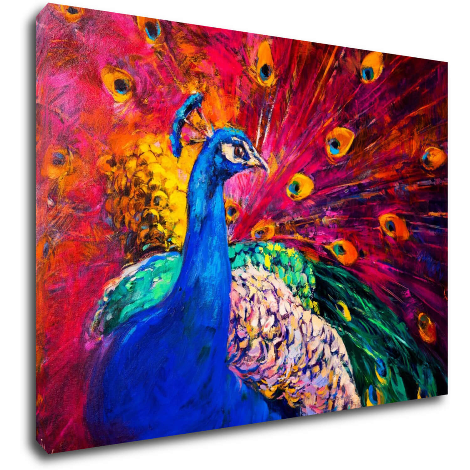 Bild Colorful Peacock - 70 x 50 cm