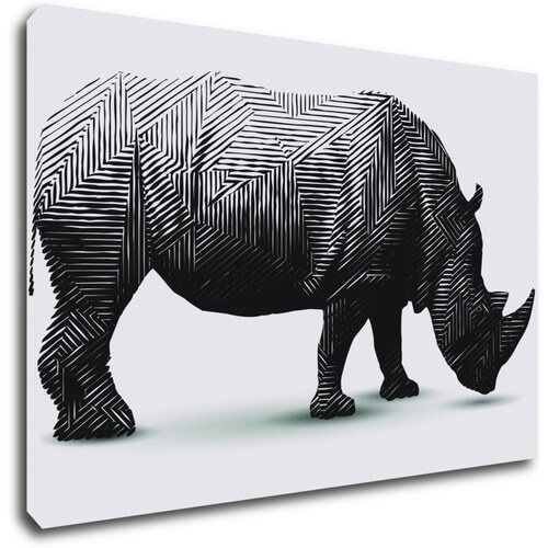 Bild Rhinoceros black and white