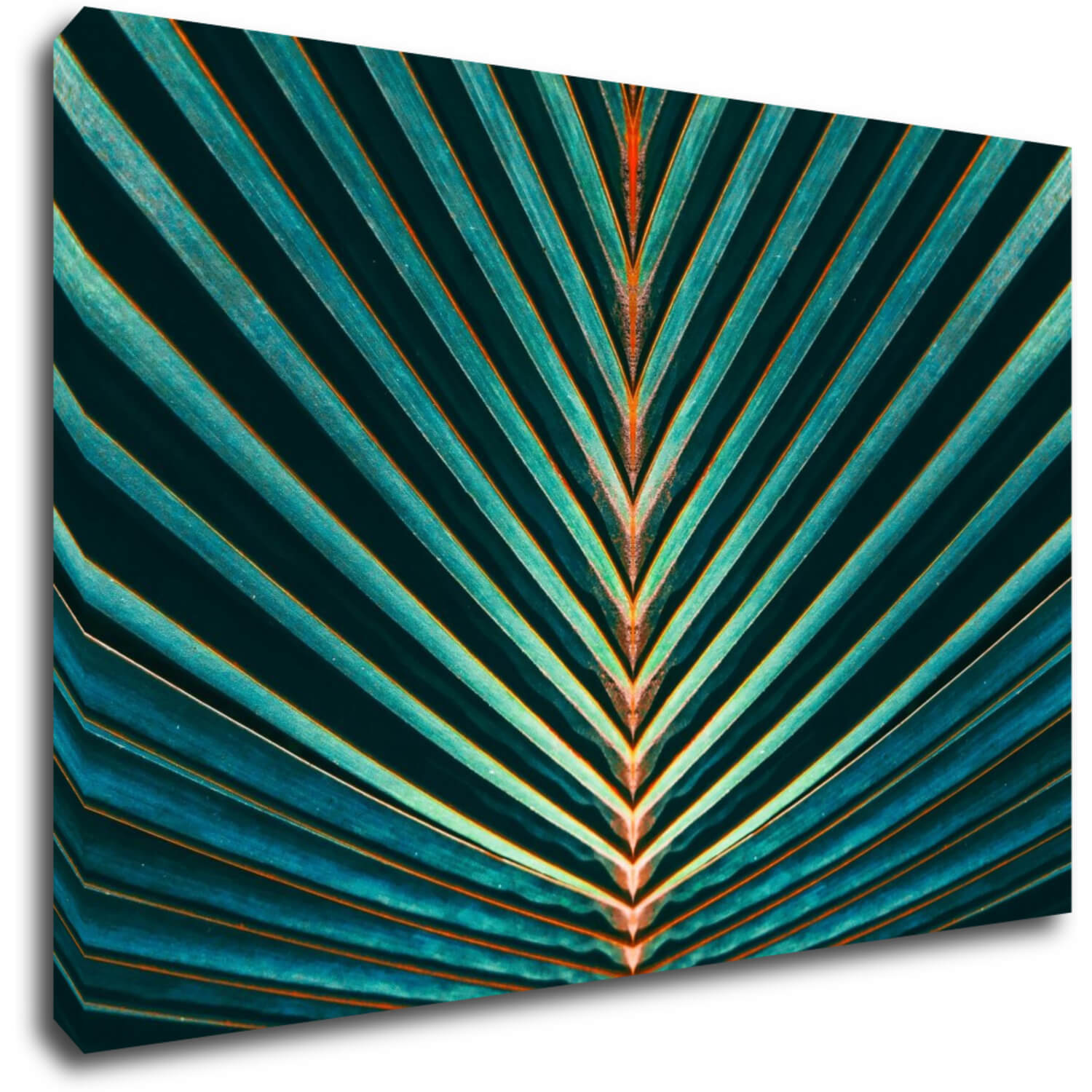 Bild Palm leaf - 90 x 60 cm