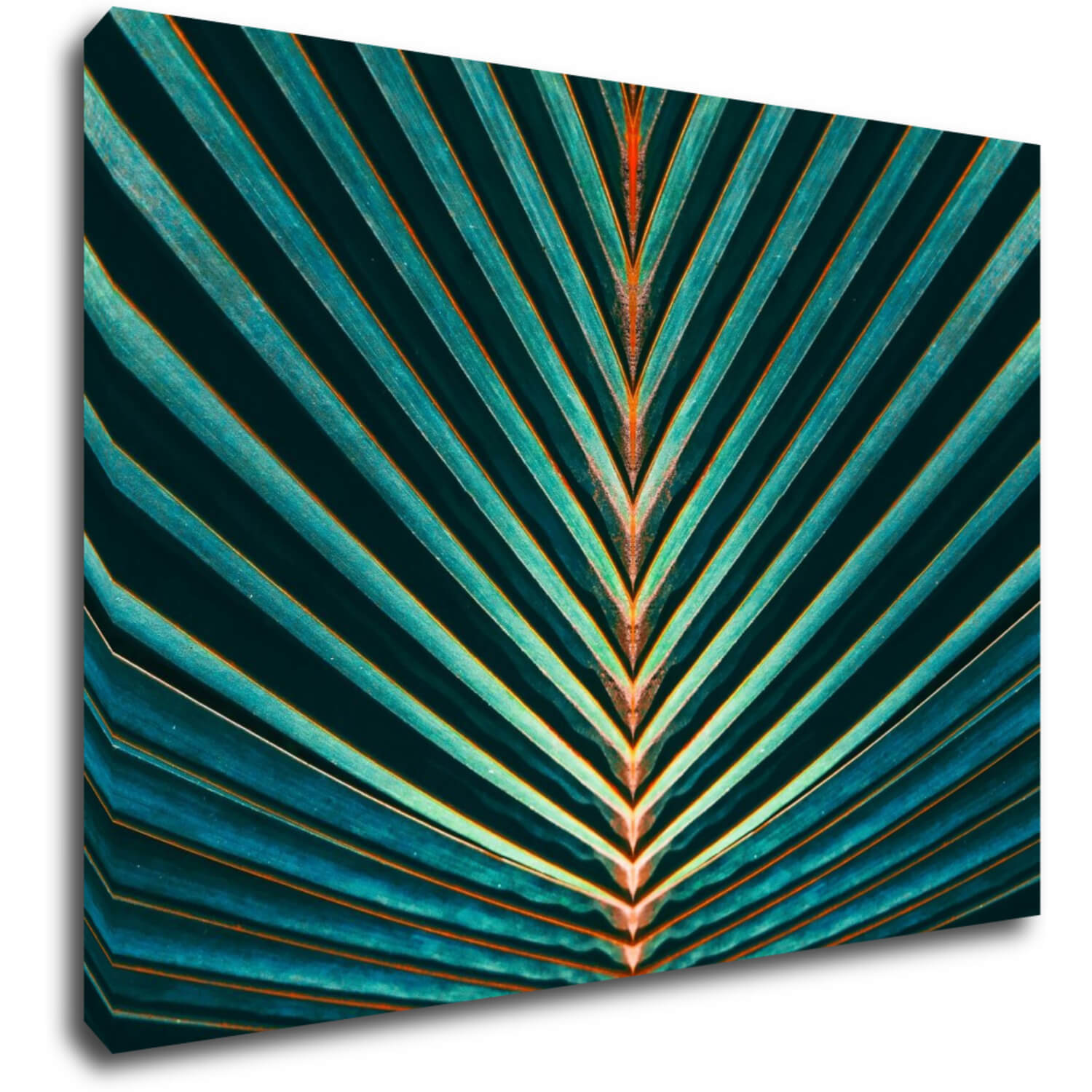 Bild Palm leaf - 70 x 50 cm