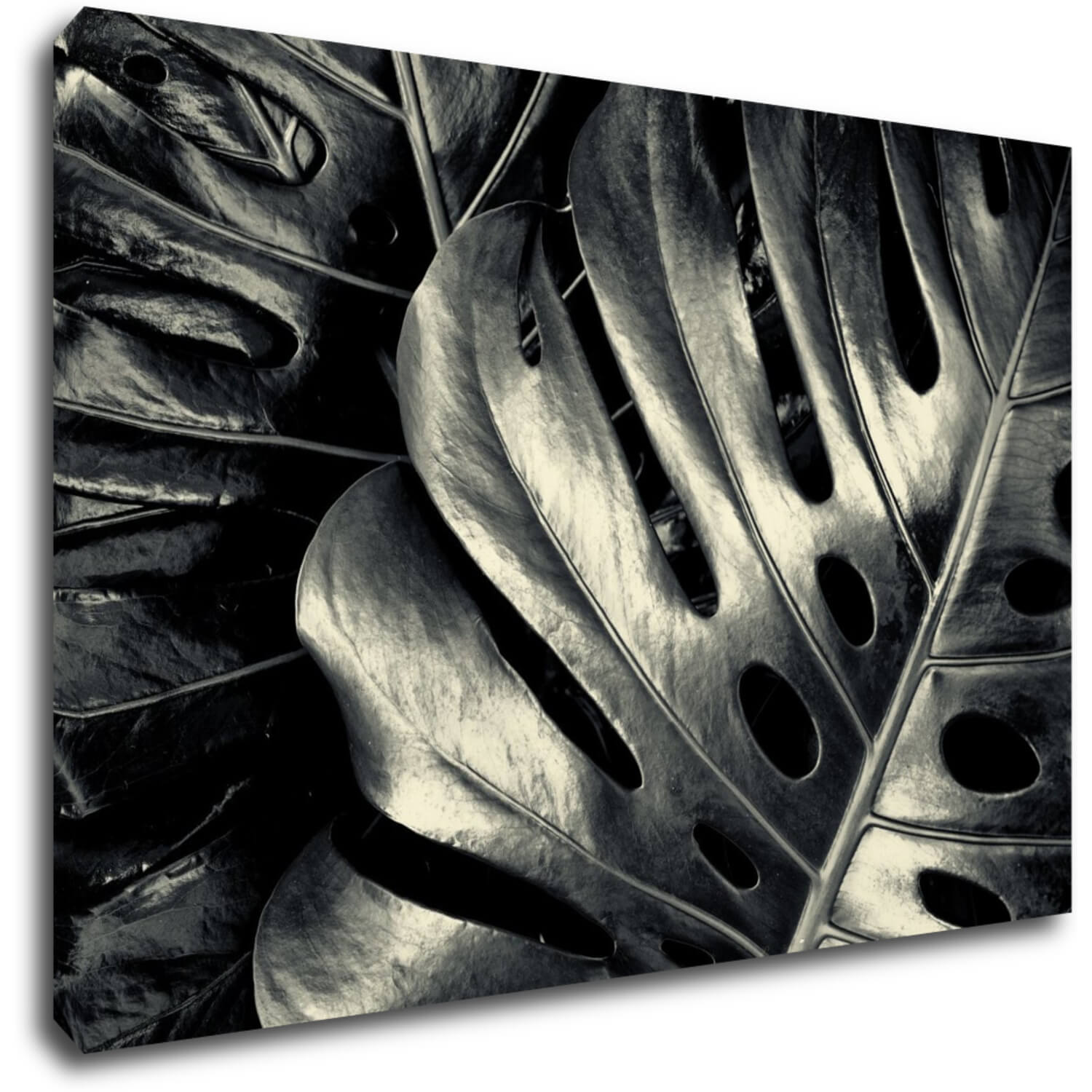 Bild Black and white leafs - 90 x 60 cm
