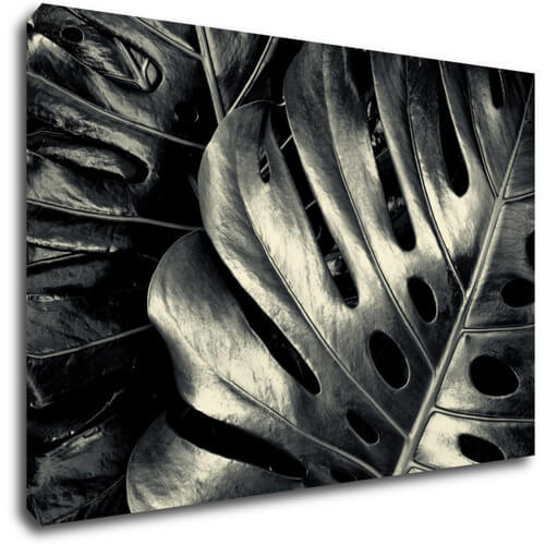 Bild Black and white leafs - 90 x 60 cm