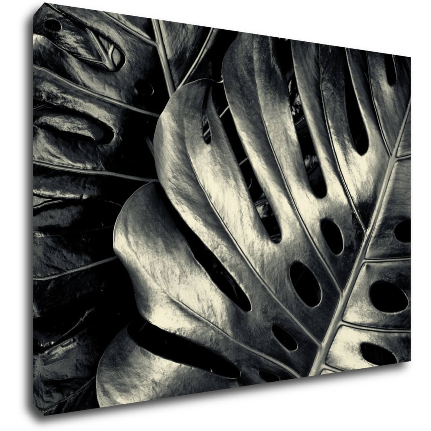 Bild Black and white leafs - 70 x 50 cm