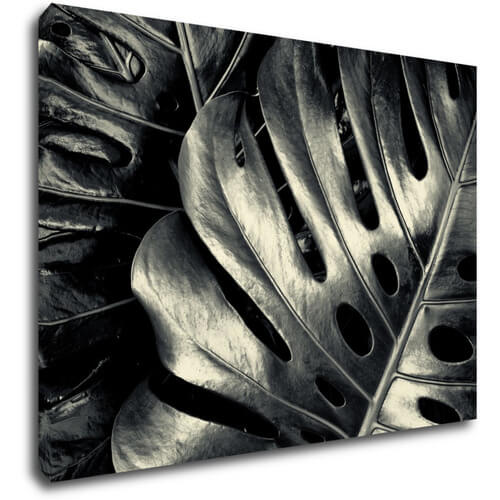 Bild Black and white leafs - 70 x 50 cm