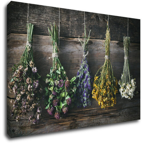 Bild Dry flowers