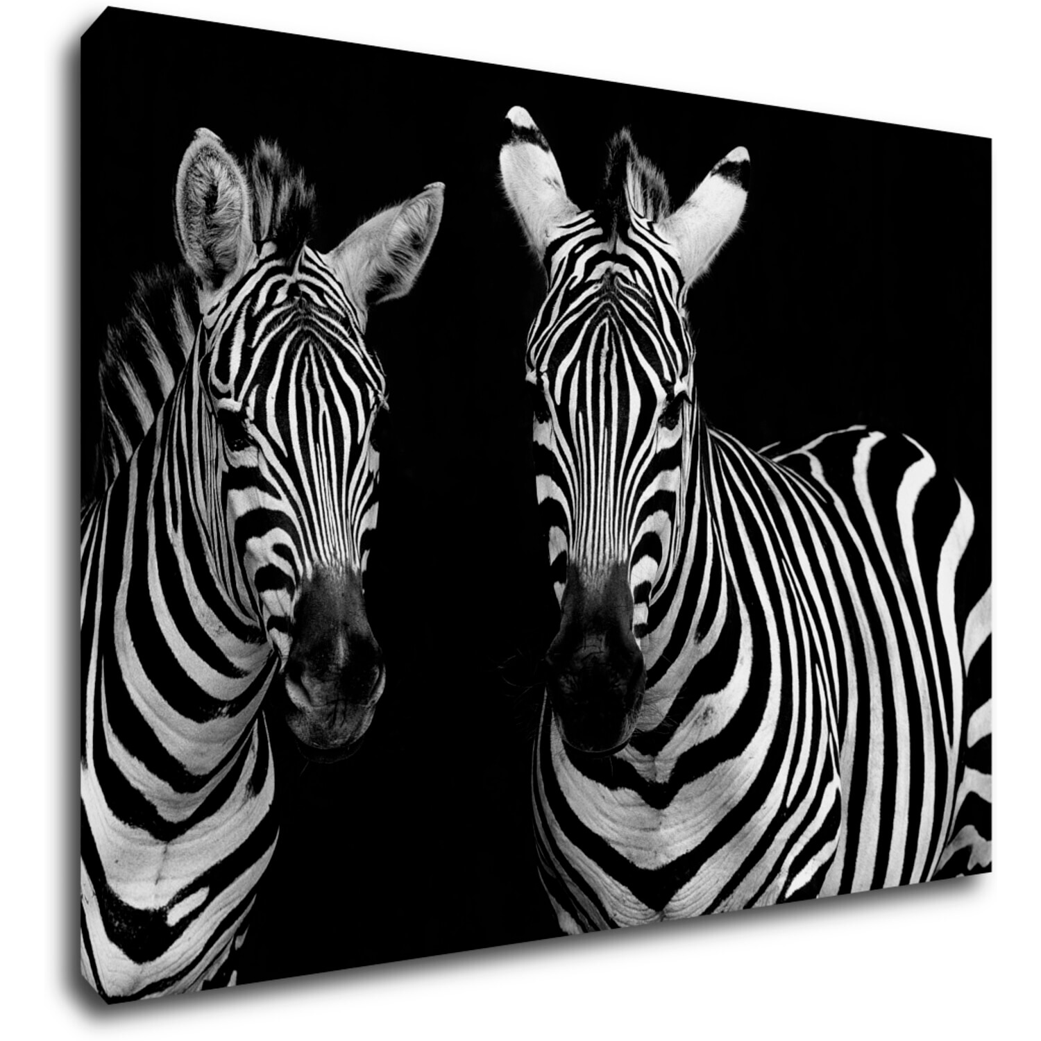Bild Duo zebras black and white - 70 x 50 cm