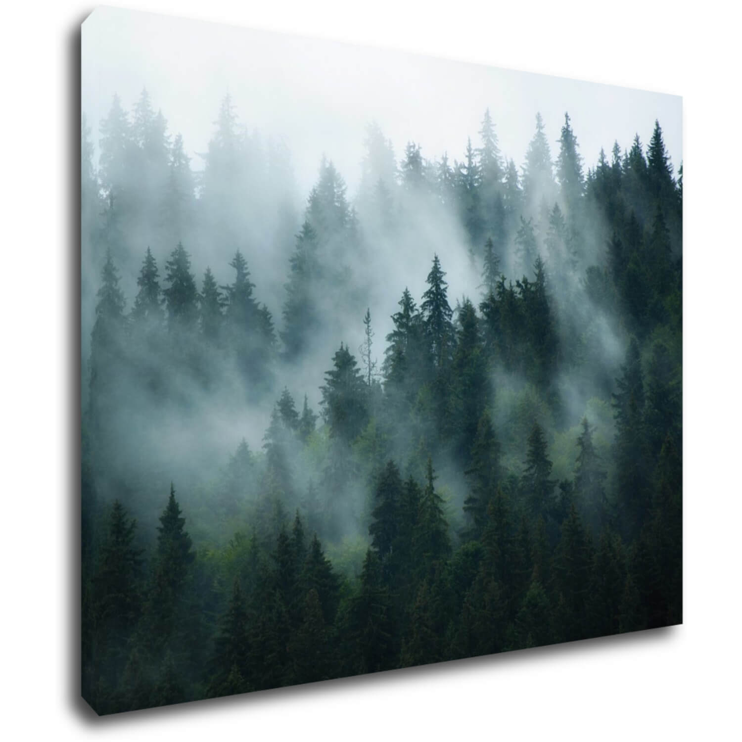 Bild Fogy forest - 90 x 70 cm