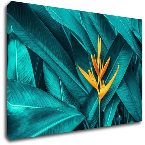 Bild Orange blossom