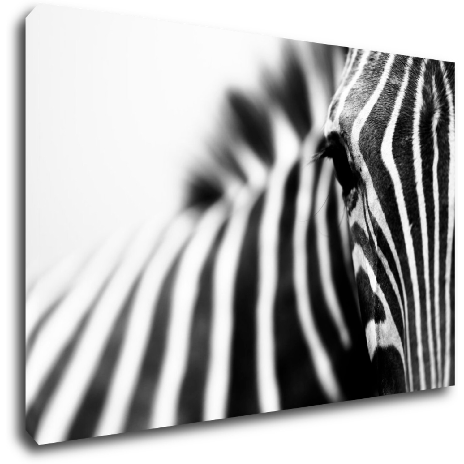 Bild Zebra detail - 90 x 60 cm