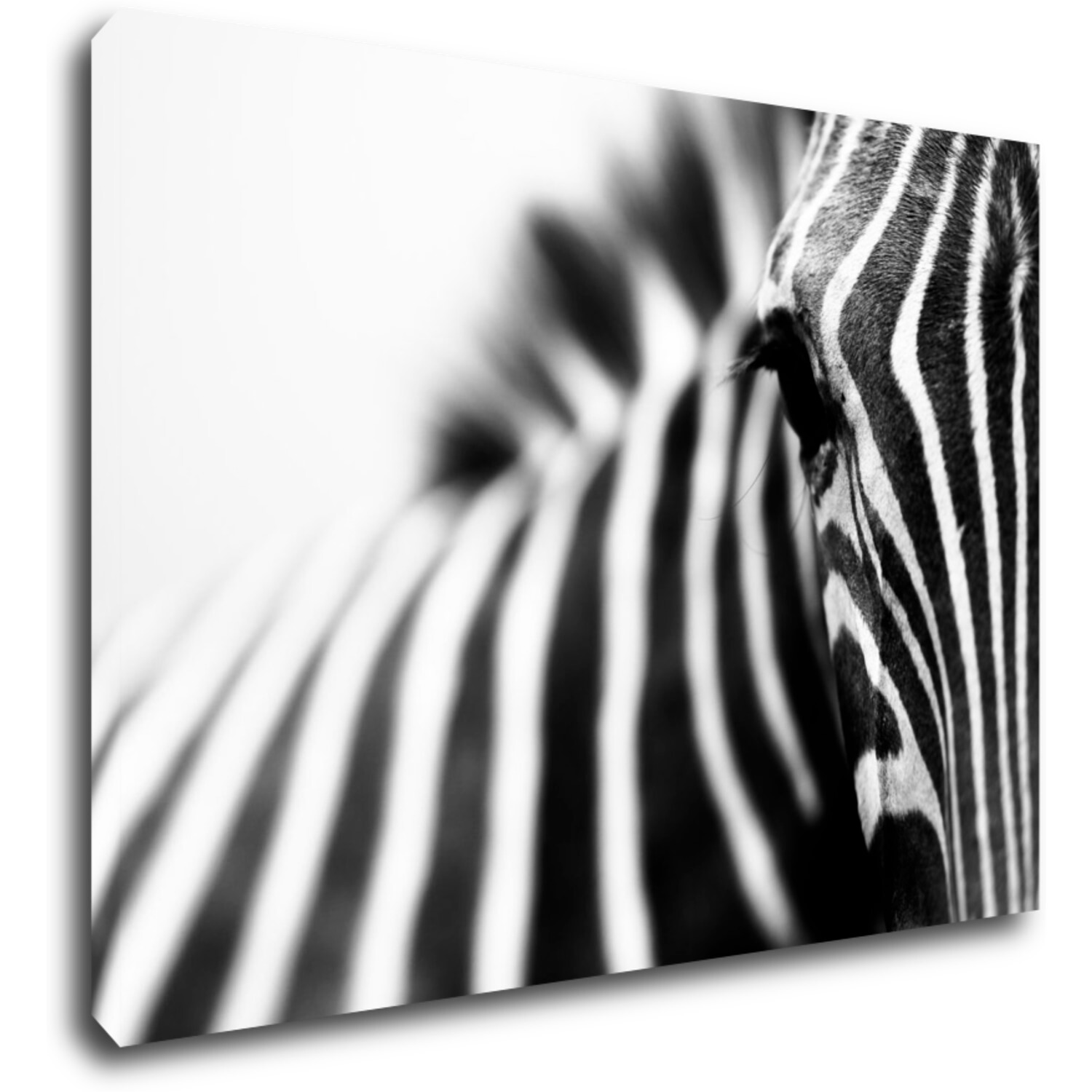 Bild Zebra detail - 70 x 50 cm