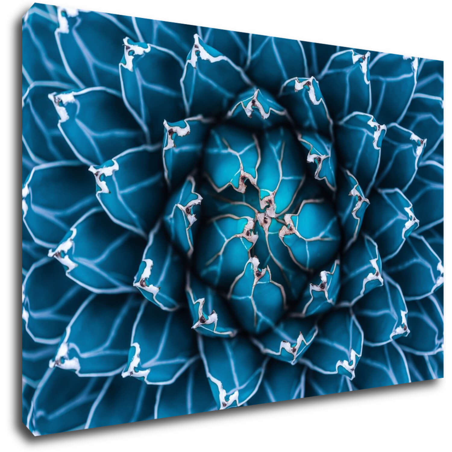Bild Blue blossom - 60 x 40 cm