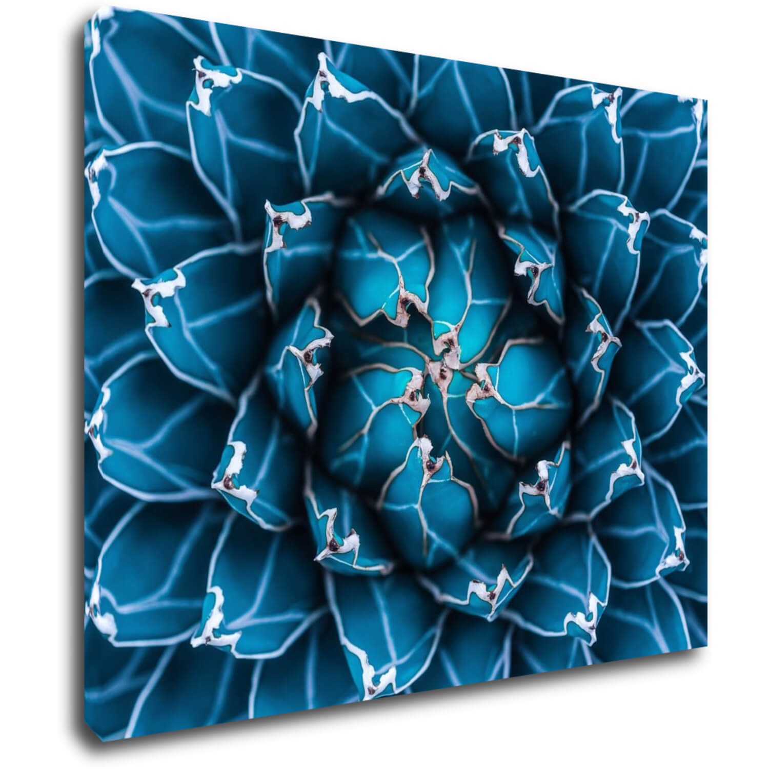 Bild Blue blossom - 90 x 70 cm