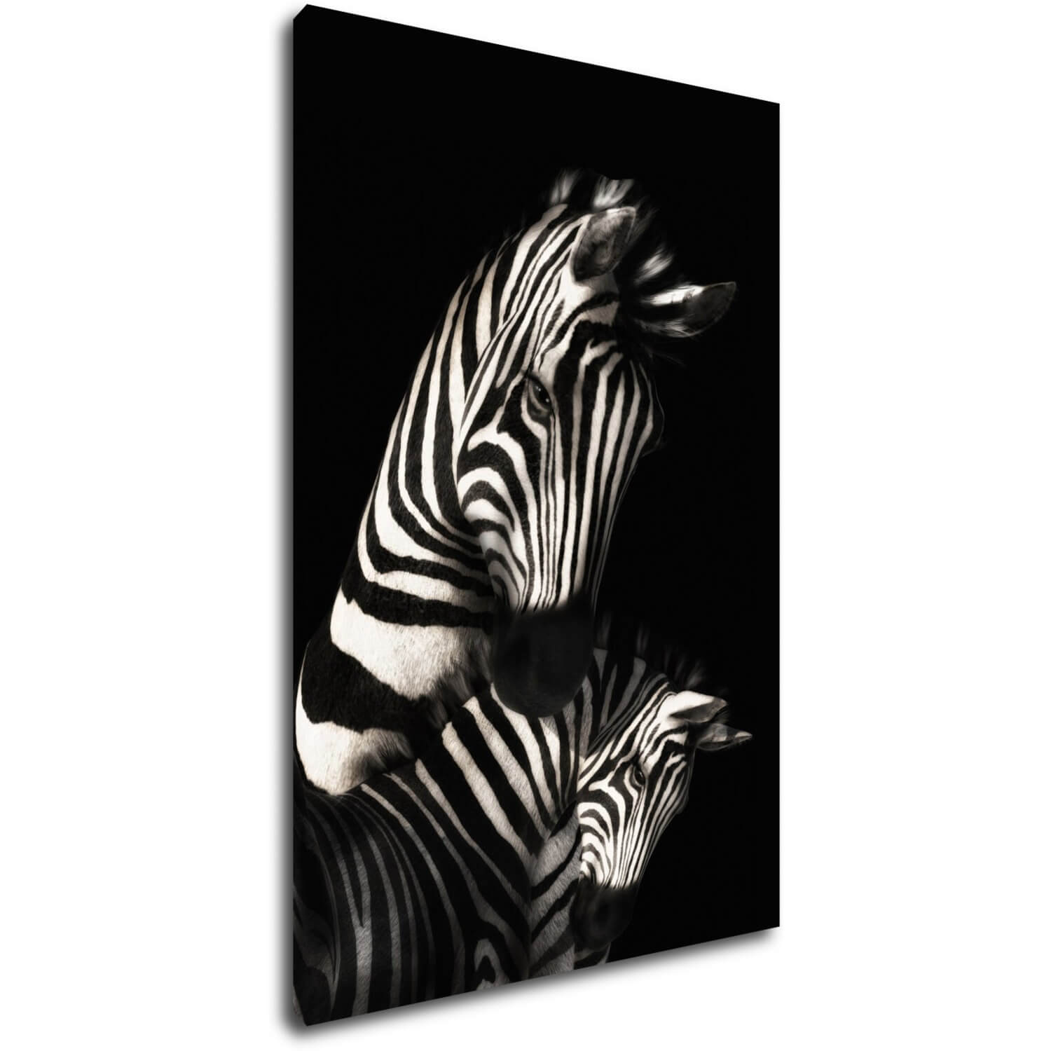 Bild Zebras black and white - 40 x 60 cm