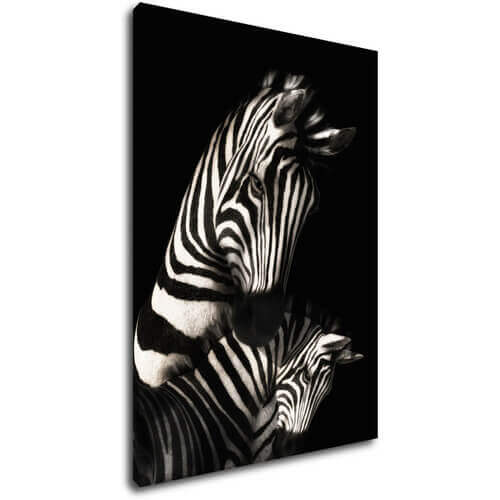 Bild Zebras black and white - 50 x 70 cm