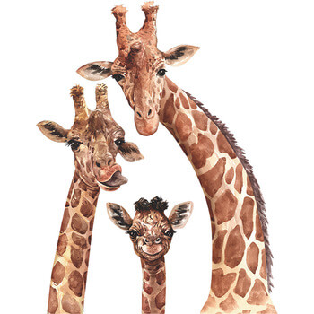 Wandaufkleber für das Kinderzimmer Cute giraffes